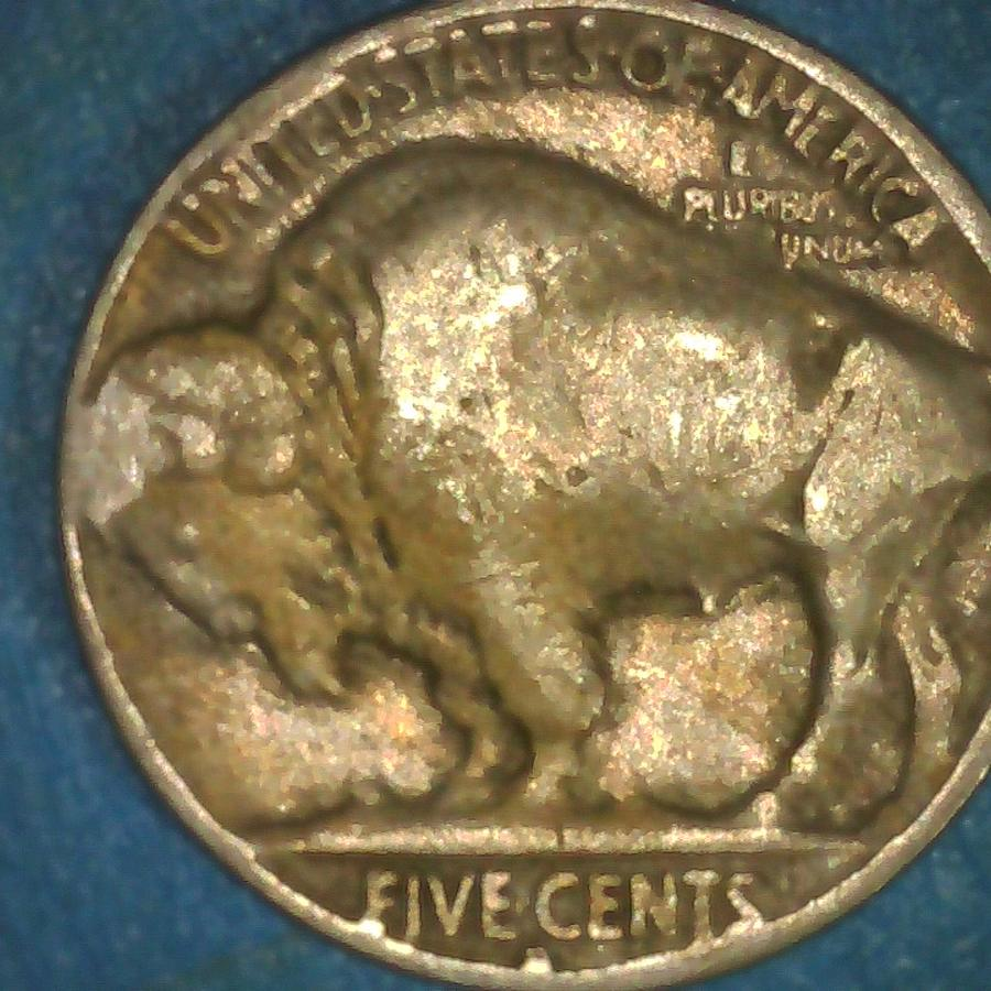 1934 Buffalo Nickel alt 2