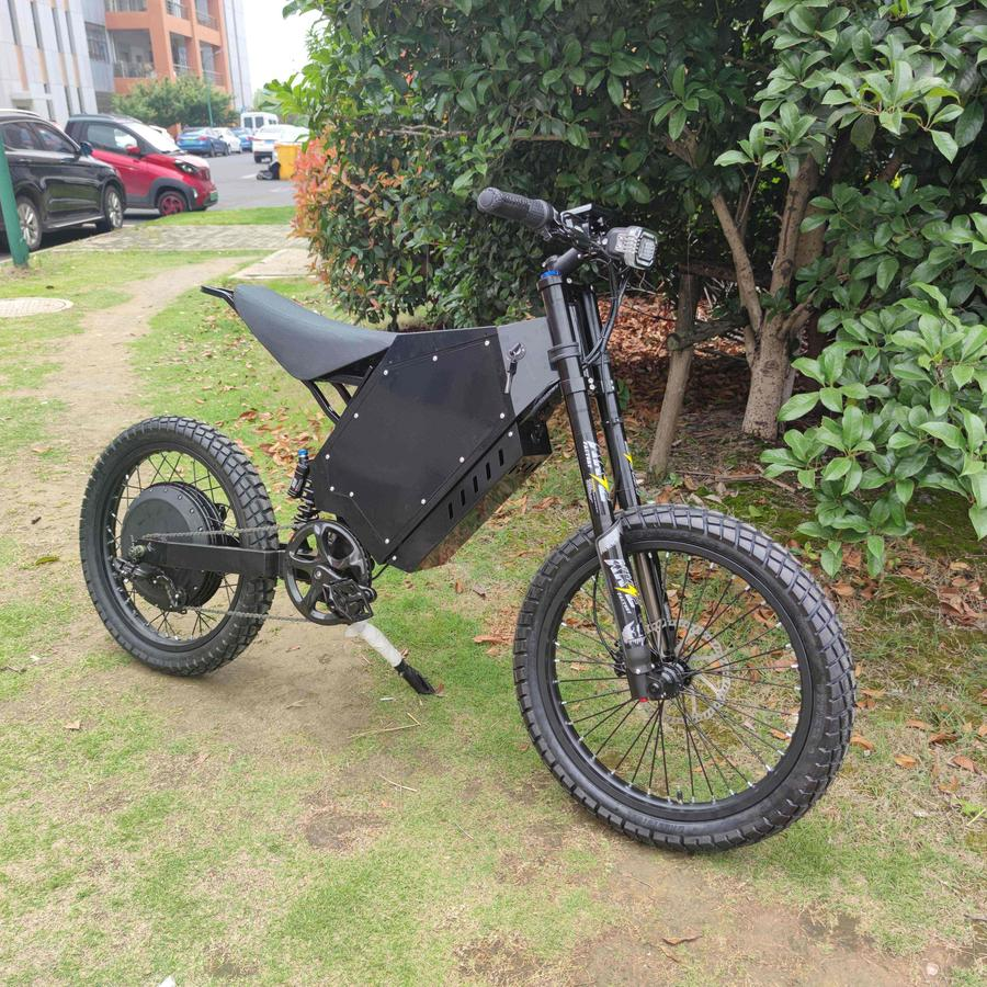 Custom Electric Mountain Bike